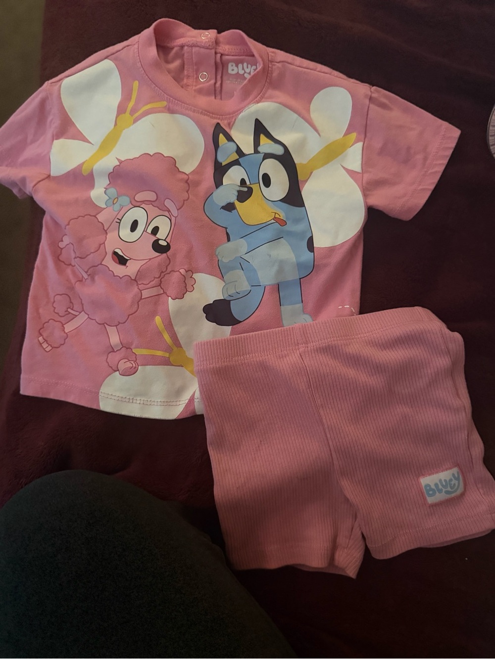 Pink Bluey & Friends Girls' Short Sleeve Set